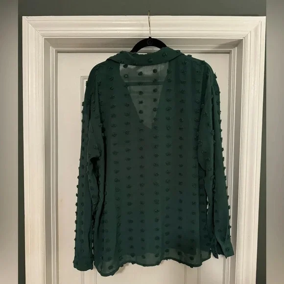 PomPom Buttondown Shirt - Size 2X - Picture 2 of 3